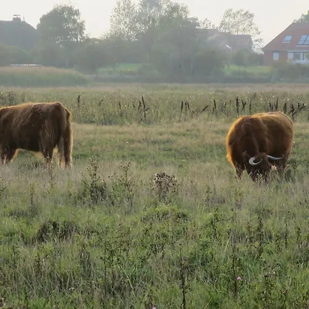 Apartmán Ostseering Hohwacht