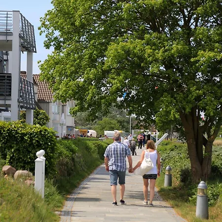 Ostseering Hohwacht