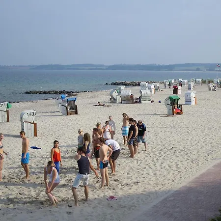Ostseering *
