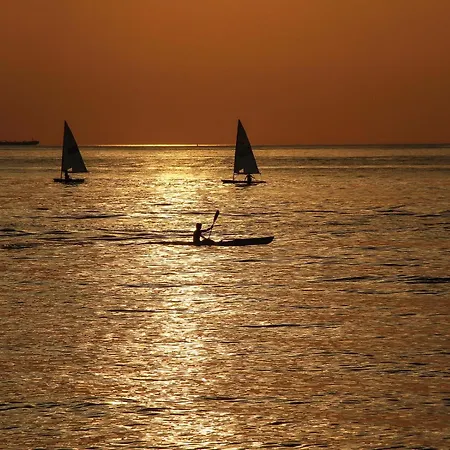 Ostseering هوهفاخت